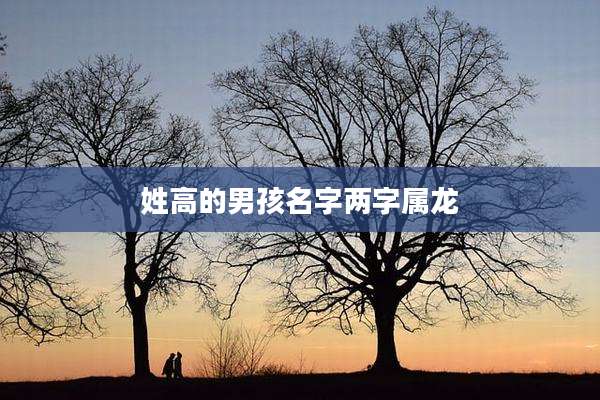 姓高的男孩名字两字属龙