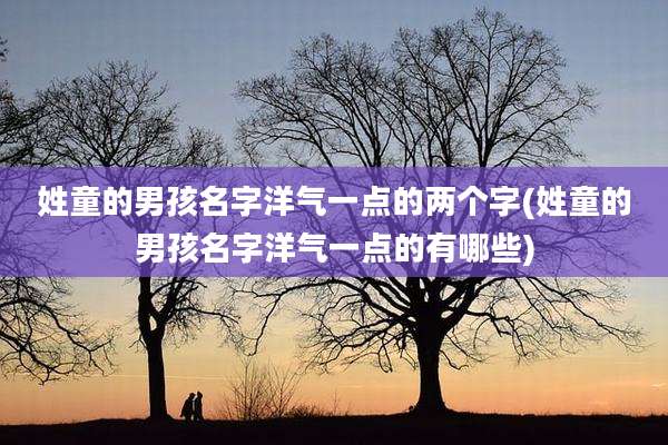 姓童的男孩名字洋气一点的两个字(姓童的男孩名字洋气一点的有哪些)