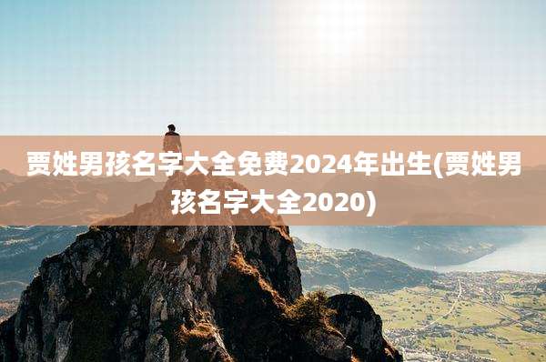 贾姓男孩名字大全免费2024年出生(贾姓男孩名字大全2020)