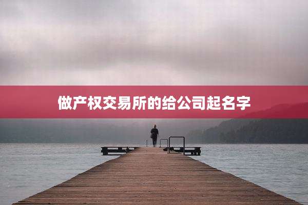 做产权交易所的给公司起名字