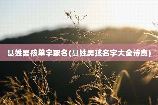 聂姓男孩单字取名(聂姓男孩名字大全诗意)