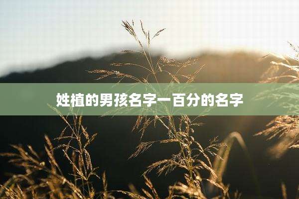 姓植的男孩名字一百分的名字