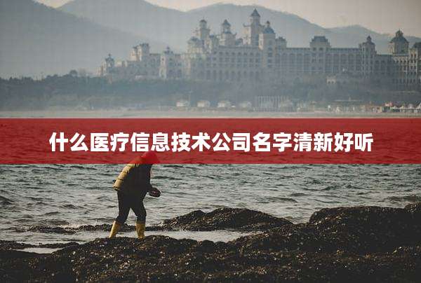 什么医疗信息技术公司名字清新好听