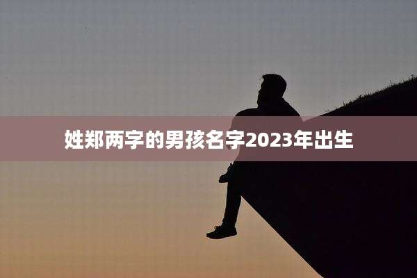 姓郑两字的男孩名字2023年出生