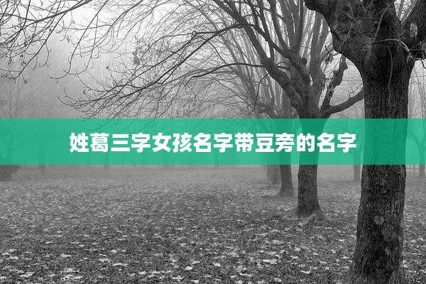 姓葛三字女孩名字带豆旁的名字