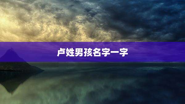 卢姓男孩名字一字