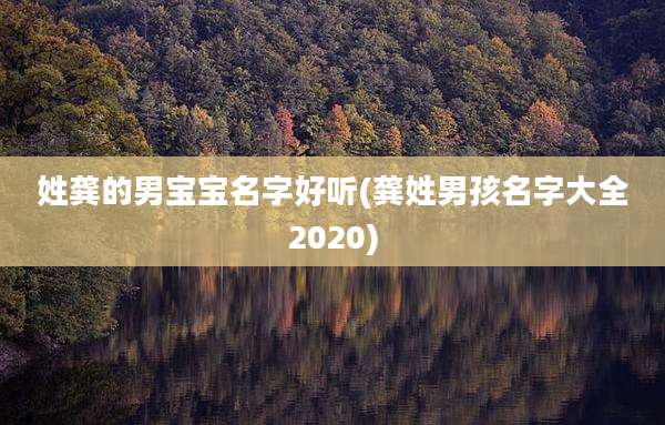 姓龚的男宝宝名字好听(龚姓男孩名字大全2020)