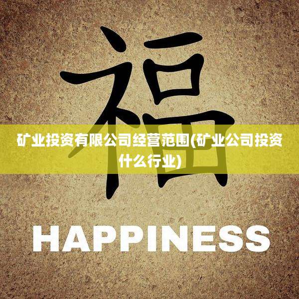 矿业投资有限公司经营范围(矿业公司投资什么行业)