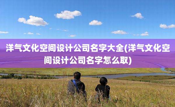 洋气文化空间设计公司名字大全(洋气文化空间设计公司名字怎么取)