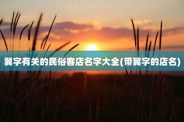 翼字有关的民俗客店名字大全(带翼字的店名)