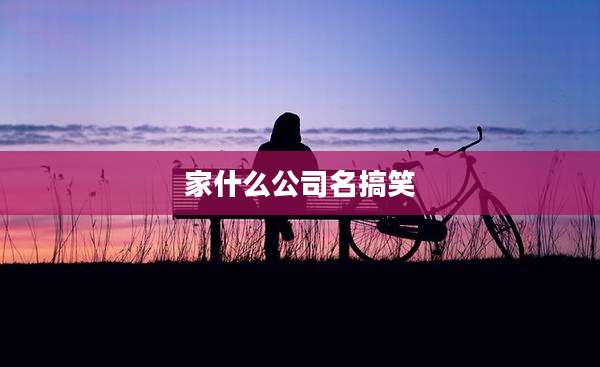 家什么公司名搞笑