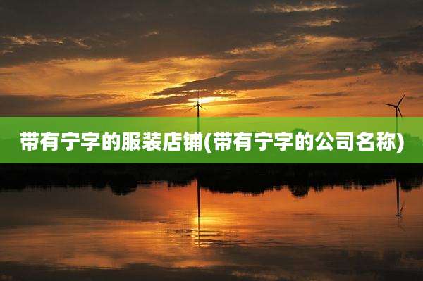 带有宁字的服装店铺(带有宁字的公司名称)