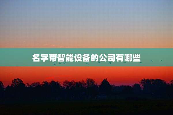 名字带智能设备的公司有哪些