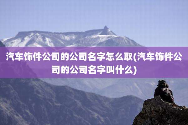 汽车饰件公司的公司名字怎么取(汽车饰件公司的公司名字叫什么)