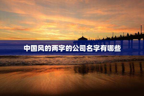 中国风的两字的公司名字有哪些