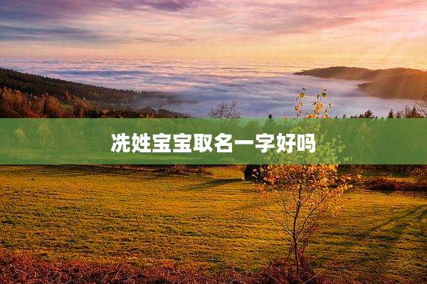 冼姓宝宝取名一字好吗