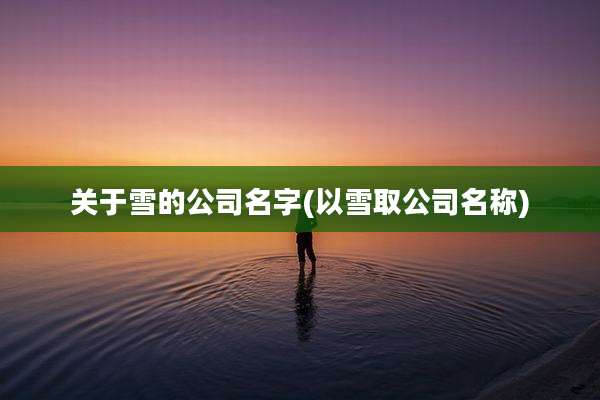 关于雪的公司名字(以雪取公司名称)