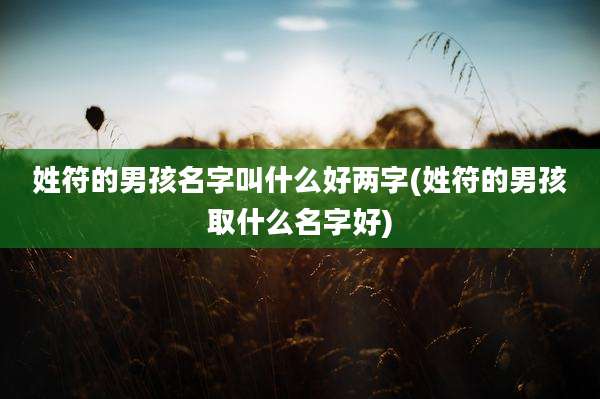 姓符的男孩名字叫什么好两字(姓符的男孩取什么名字好)