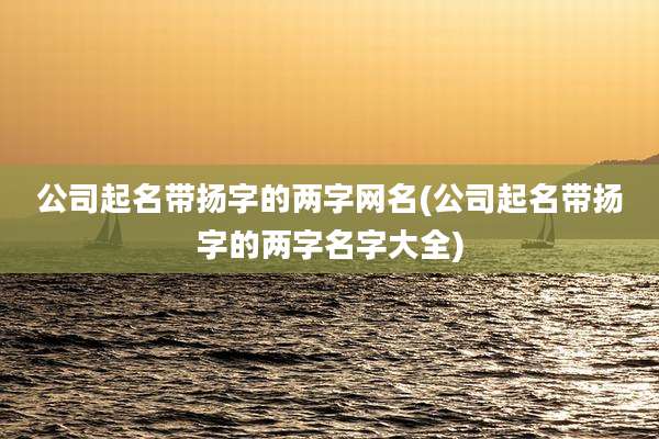 公司起名带扬字的两字网名(公司起名带扬字的两字名字大全)