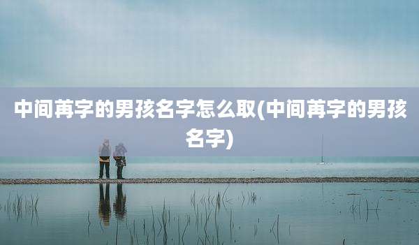 中间苒字的男孩名字怎么取(中间苒字的男孩名字)