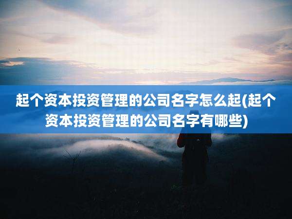 起个资本投资管理的公司名字怎么起(起个资本投资管理的公司名字有哪些)