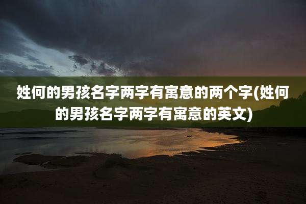姓何的男孩名字两字有寓意的两个字(姓何的男孩名字两字有寓意的英文)