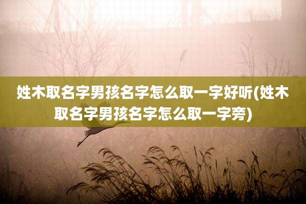 姓木取名字男孩名字怎么取一字好听(姓木取名字男孩名字怎么取一字旁)