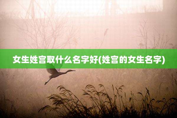 女生姓宫取什么名字好(姓宫的女生名字)