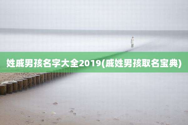 姓戚男孩名字大全2019(戚姓男孩取名宝典)