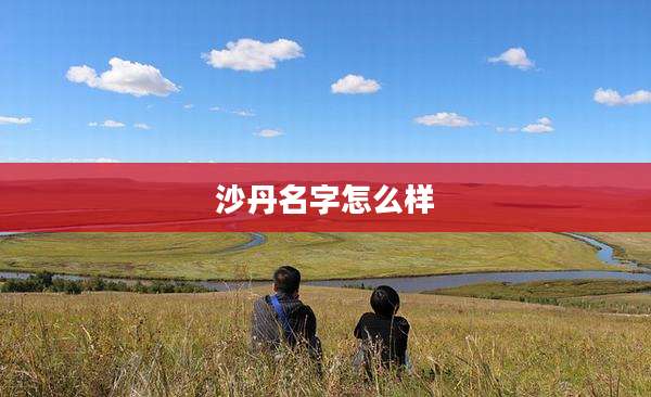 沙丹名字怎么样
