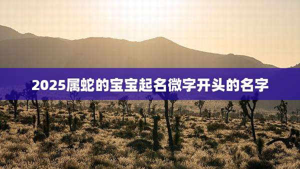 2025属蛇的宝宝起名微字开头的名字