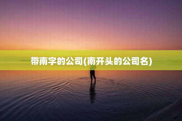 带南字的公司(南开头的公司名)