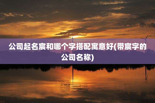 公司起名宸和哪个字搭配寓意好(带宸字的公司名称)