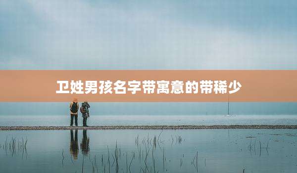 卫姓男孩名字带寓意的带稀少