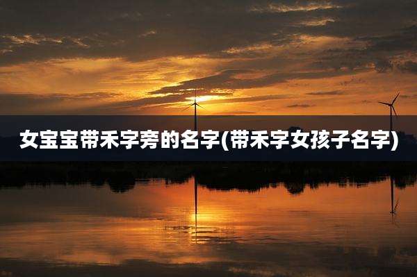 女宝宝带禾字旁的名字(带禾字女孩子名字)