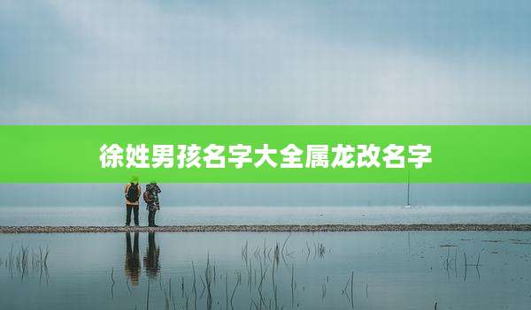 徐姓男孩名字大全属龙改名字