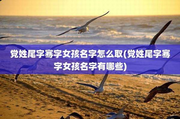 党姓尾字骞字女孩名字怎么取(党姓尾字骞字女孩名字有哪些)