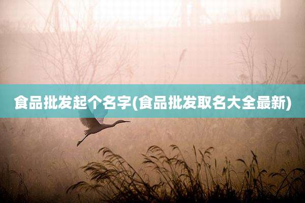 食品批发起个名字(食品批发取名大全最新)