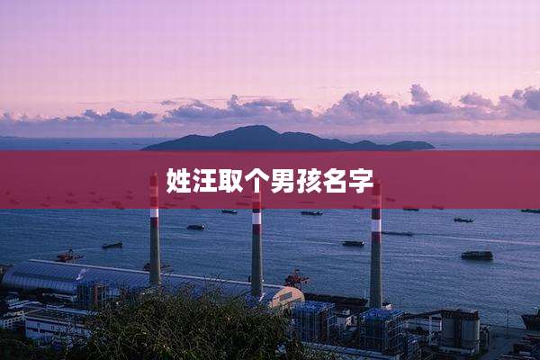 姓汪取个男孩名字