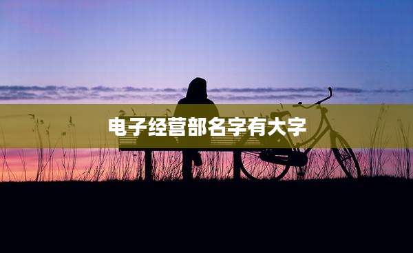 电子经营部名字有大字