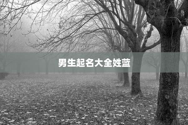 男生起名大全姓蓝