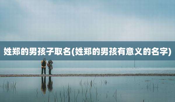 姓郑的男孩子取名(姓郑的男孩有意义的名字)