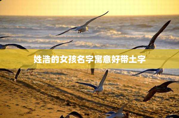 姓浩的女孩名字寓意好带土字