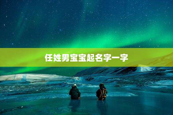 任姓男宝宝起名字一字