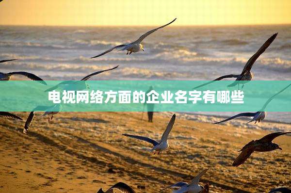 电视网络方面的企业名字有哪些