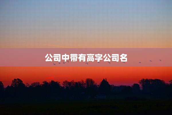 公司中带有高字公司名