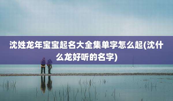 沈姓龙年宝宝起名大全集单字怎么起(沈什么龙好听的名字)