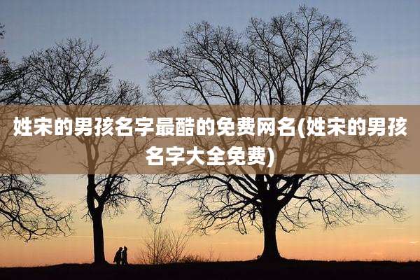 姓宋的男孩名字最酷的免费网名(姓宋的男孩名字大全免费)
