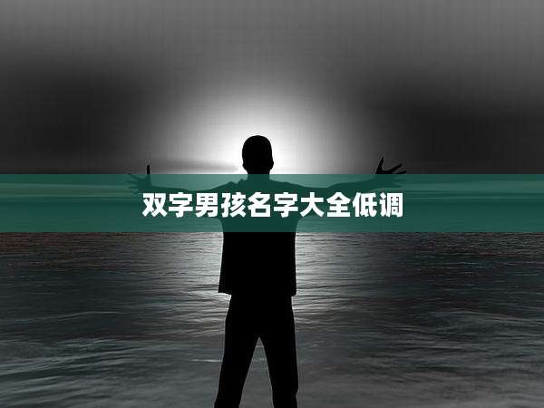 双字男孩名字大全低调