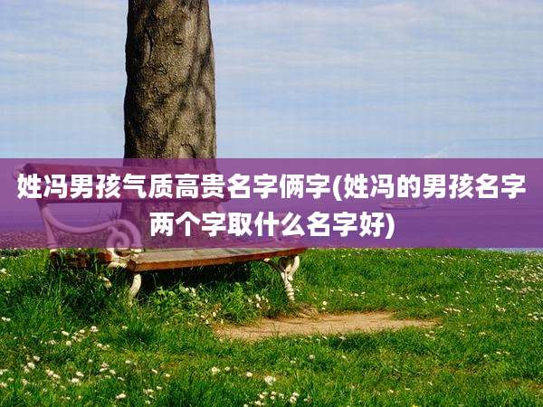 姓冯男孩气质高贵名字俩字(姓冯的男孩名字两个字取什么名字好)